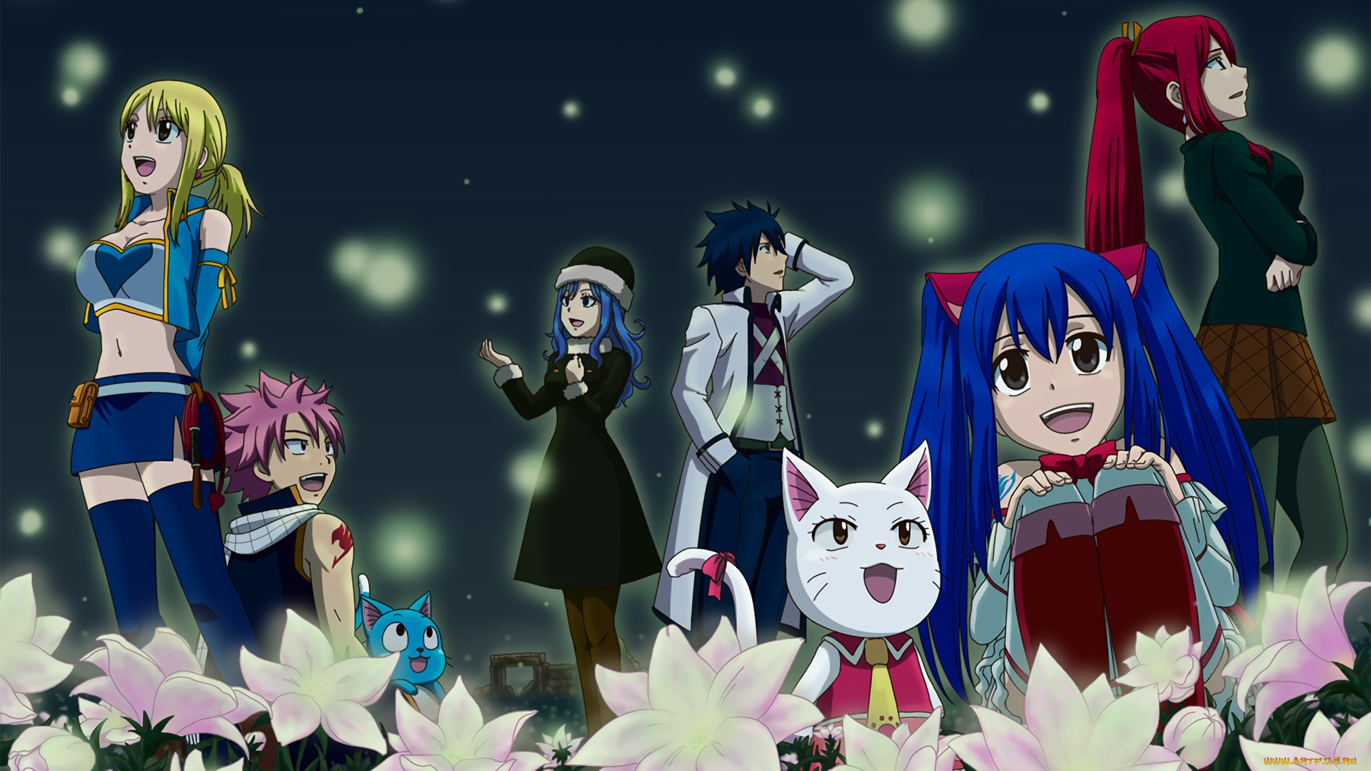 fairy tail, , 